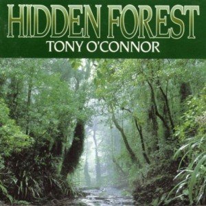 Hidden Forest