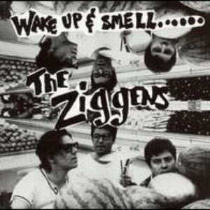 Wake Up & Smell the Ziggens