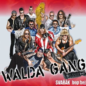 Artwork for Svařák