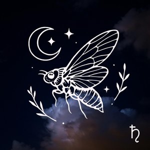 Exuvia
