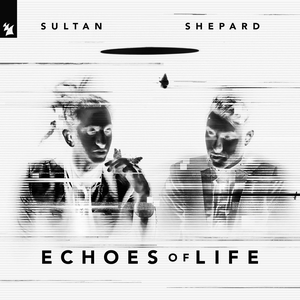 SULTAN + SHEPARD - Echoes Of Life: Night - Zortam Music