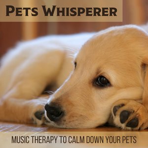 Pets Whisperer: Music Therapy to Calm Down Your Pets, Stress Relief, Relaxing Medication, Calm Dog and Cat