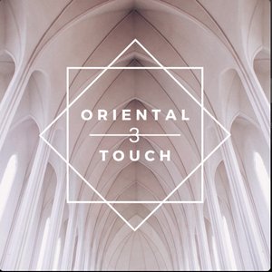 Oriental Touch 3
