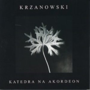 Katedra Na Akordeon