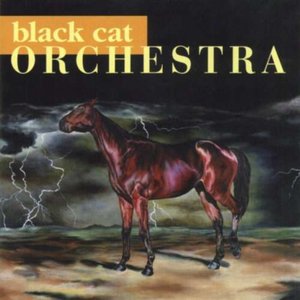 Black Cat Orchestra