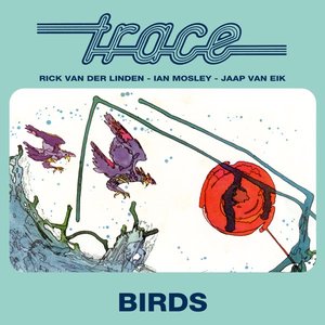 Birds (feat. Rick van der Linden, Ian Mosley, Jaap van Eik)
