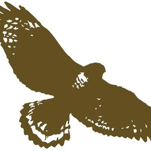 A Hawk in the Heavens için avatar