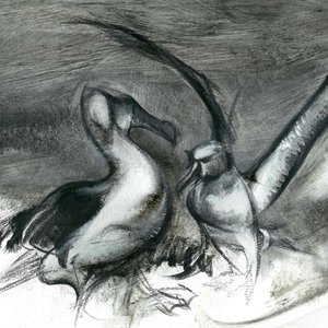 True Defective / Above Albatross