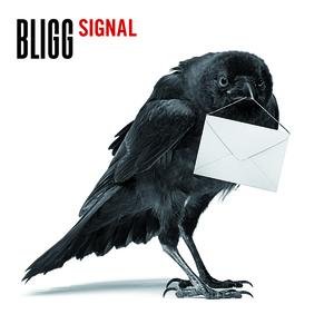 Signal