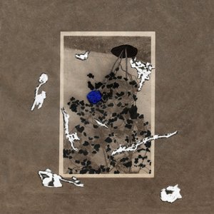 MUYU