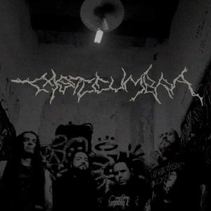 castleumbra 的头像