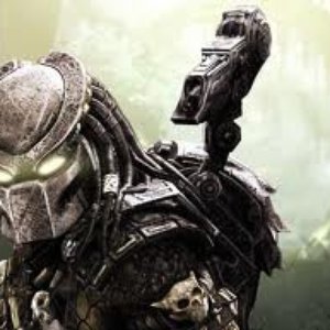 The Predator 的头像