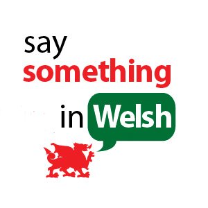 Say Something In Welsh のアバター