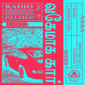 Radio Palmer