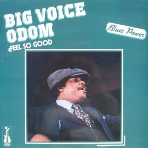 Feel So Good (feat. Magic Slim, Lucky Peterson) [Blues Power]
