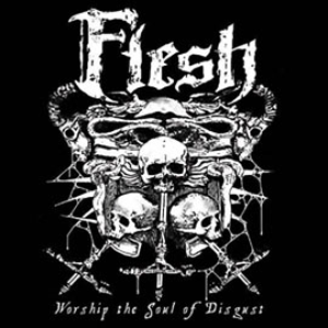 Worship The Soul of Disgust cover