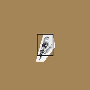 Field Notes #2: Sekretne życie ptaków