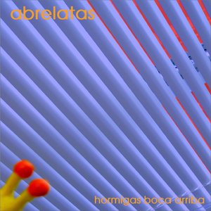 Hormigas Boca Arriba