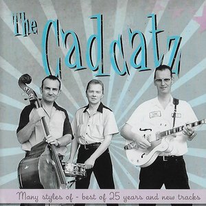 Many Styles Of - Best of 25 Years and New Tracks