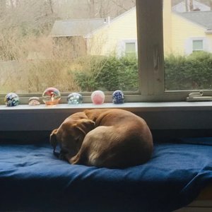 Warmth - Single