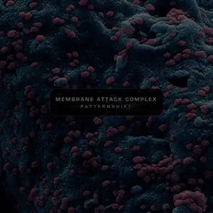 Membrane Attack Complex