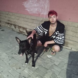 Avatar for Тихий Холм