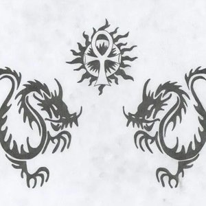 ttraumer 的头像