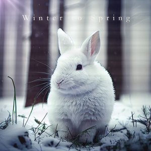 Winter to Spring