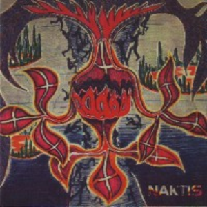 Naktis cover