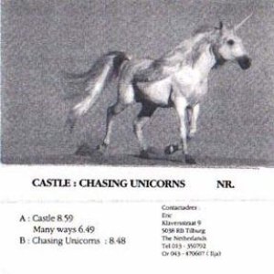 Chasing Unicorns