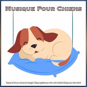 Musique D'Endormissement Pour Chiens 的头像