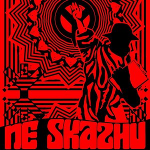 Ne Skazhu 的头像