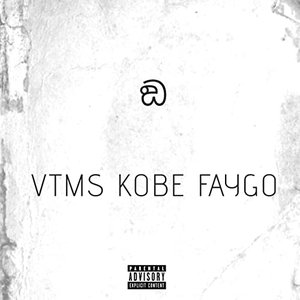 VTMS Kobe Faygo