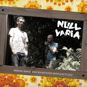 Null Varia 的头像