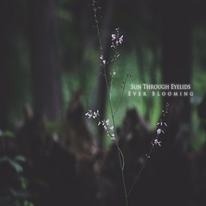 Ever Blooming