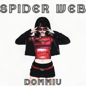 SPIDER WEB