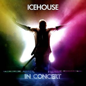 Icehouse In Concert (Live)