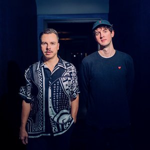 Purple Disco Machine feat. Roosevelt 的头像