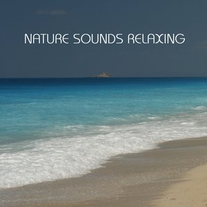 Nature Sounds Relaxing: the Most Relaxing Music Imaginable. Relaxing Sounds of Nature, Sound of Rain, Calm Music and all Nature Sounds for Contemplative and Reflective Minds