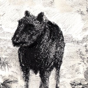KWJAZ Lite 的头像