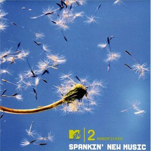 MTV 2 Handpicked (Spankin’ New Music)