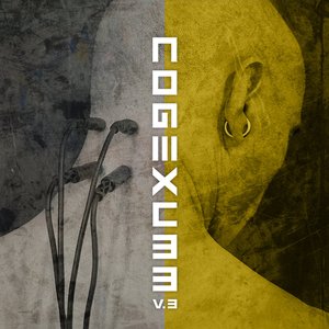 C33 V.3