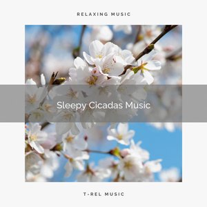 1 Sleepy Cicadas Music