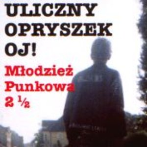 Młodzież Punkowa 2 1/2