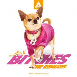 Bitches (The Remixes)