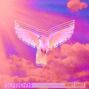 Notions