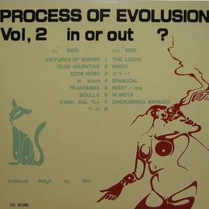 PROCESS OF EVOLUTION VOL. 2