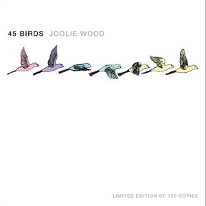 45 Birds