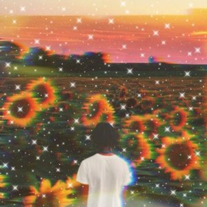 Sunflowers and Stars