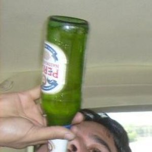 Avatar di Mitch Carvalho